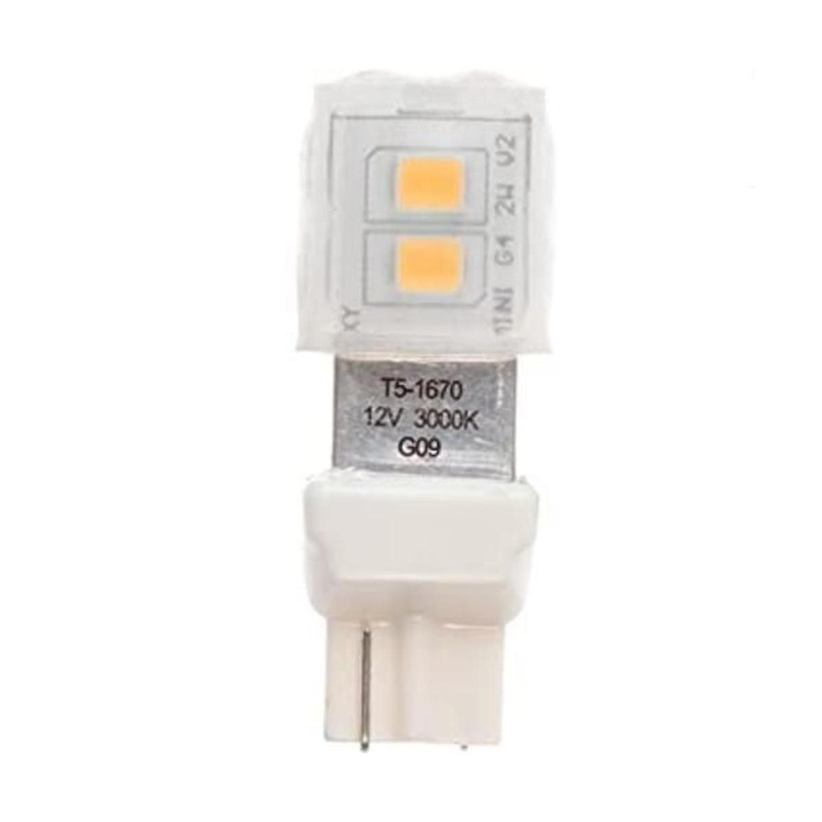 Newhouse Lighting T5 luces de repuesto halógenas de foco
