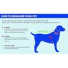 Pets First New England Patriots Mesh Jersey for Dogs_4