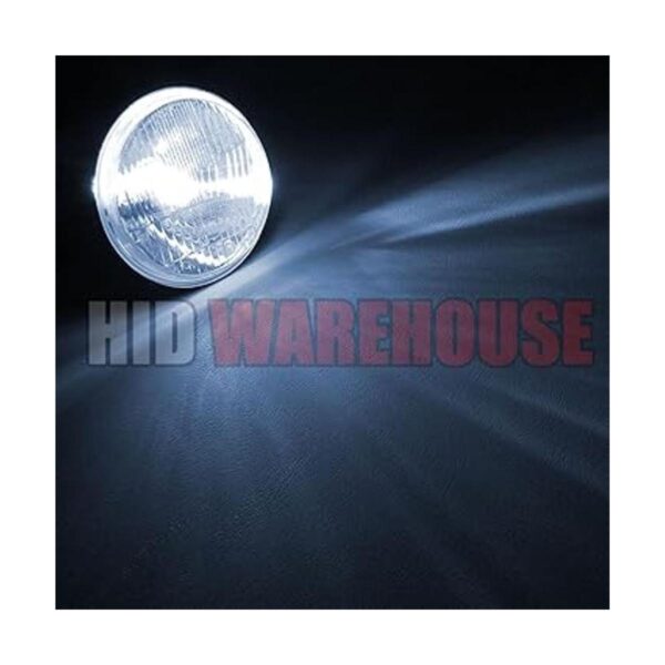 Bombillas de reemplazo HIDWarehouse HID Xenon 8000K_3