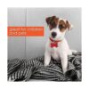 Puerta personalizada encajable de Summer Infant color_6