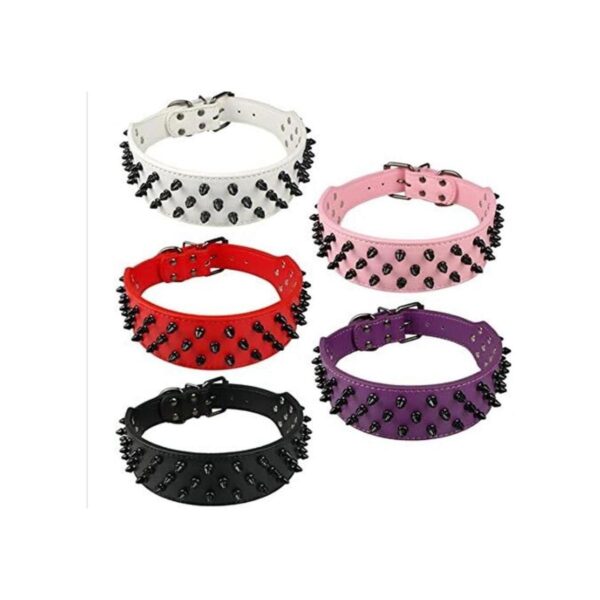 Dogs Kingdom Collar de cuero negro de perro collar_2