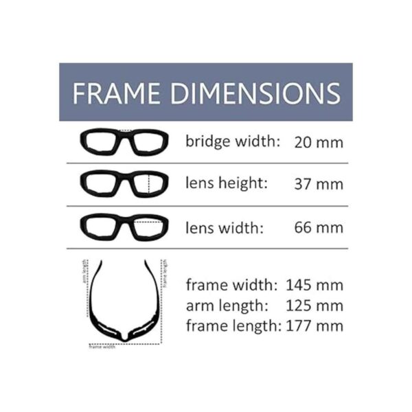 OWL Gafas de equitación acolchadas lentes transparentes_5