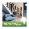 Bioluz A19 ECO Series paquete de 6 bombillas de LED