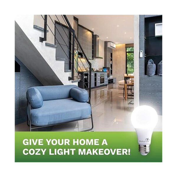 Bioluz A19 ECO Series paquete de 6 bombillas de LED