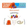 Skoolzy juego de 36 abalorios tamaño Jumbo con 4 cuerdas_2