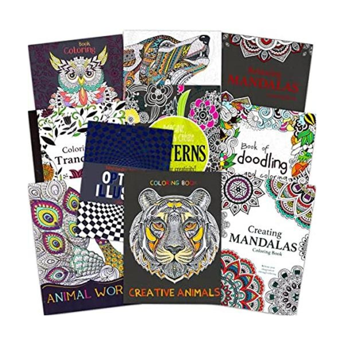 Juego de libros para colorear para adultos 10 libros para