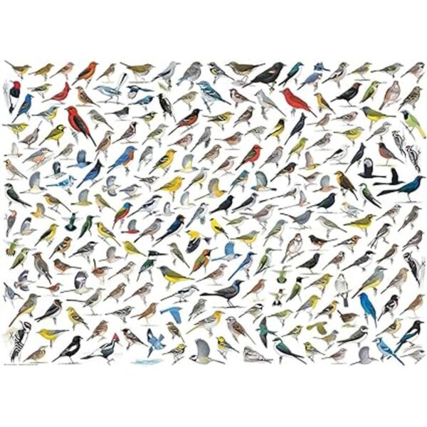 EuroGraphics El mundo de las aves 1000 piezas Puzzle_2