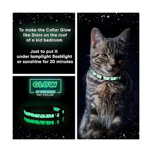 Collar para gato que brilla en la oscuridad con hebilla y_3