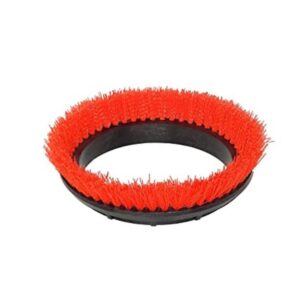 BISSELL BigGreen Commercial 237.047BG Cepillo exfoliante_1