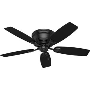 Hunter Fan Company 53118 Hunter Ventilador de techo de_1