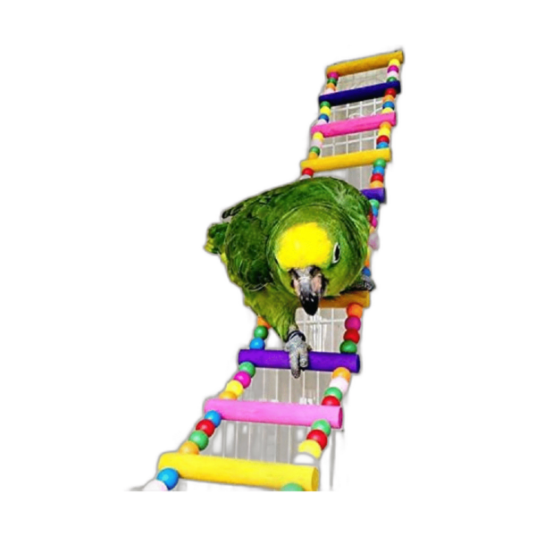 Juguetes de loro de pájaros escaleras juguetes de_1