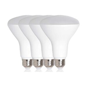 MLBBR30120WVARIATION MLBBR30120W4 11.00watts 120.00 volts_1