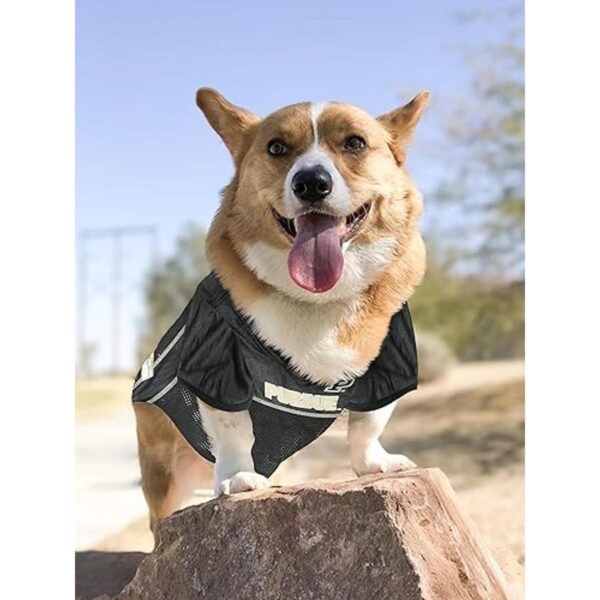 NCAA PET Apparels Camisetas de fútbol_5