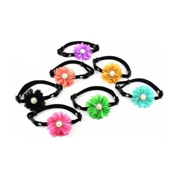 PETFAVORITES Collar con colgante de flor de margarita de_2