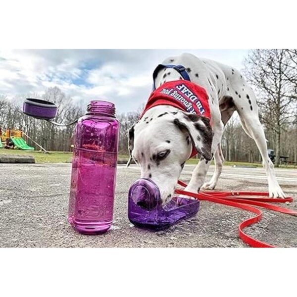 OllyDog OllyBottle botella de agua para perros sin BPA_3