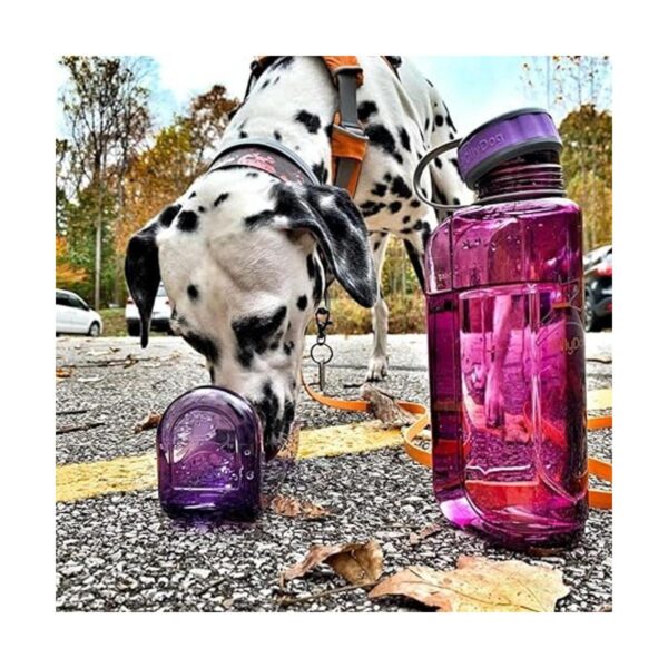 OllyDog OllyBottle botella de agua para perros sin BPA_5