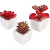 MyGift Surtido de plantas suculentas rojas artificiales_1