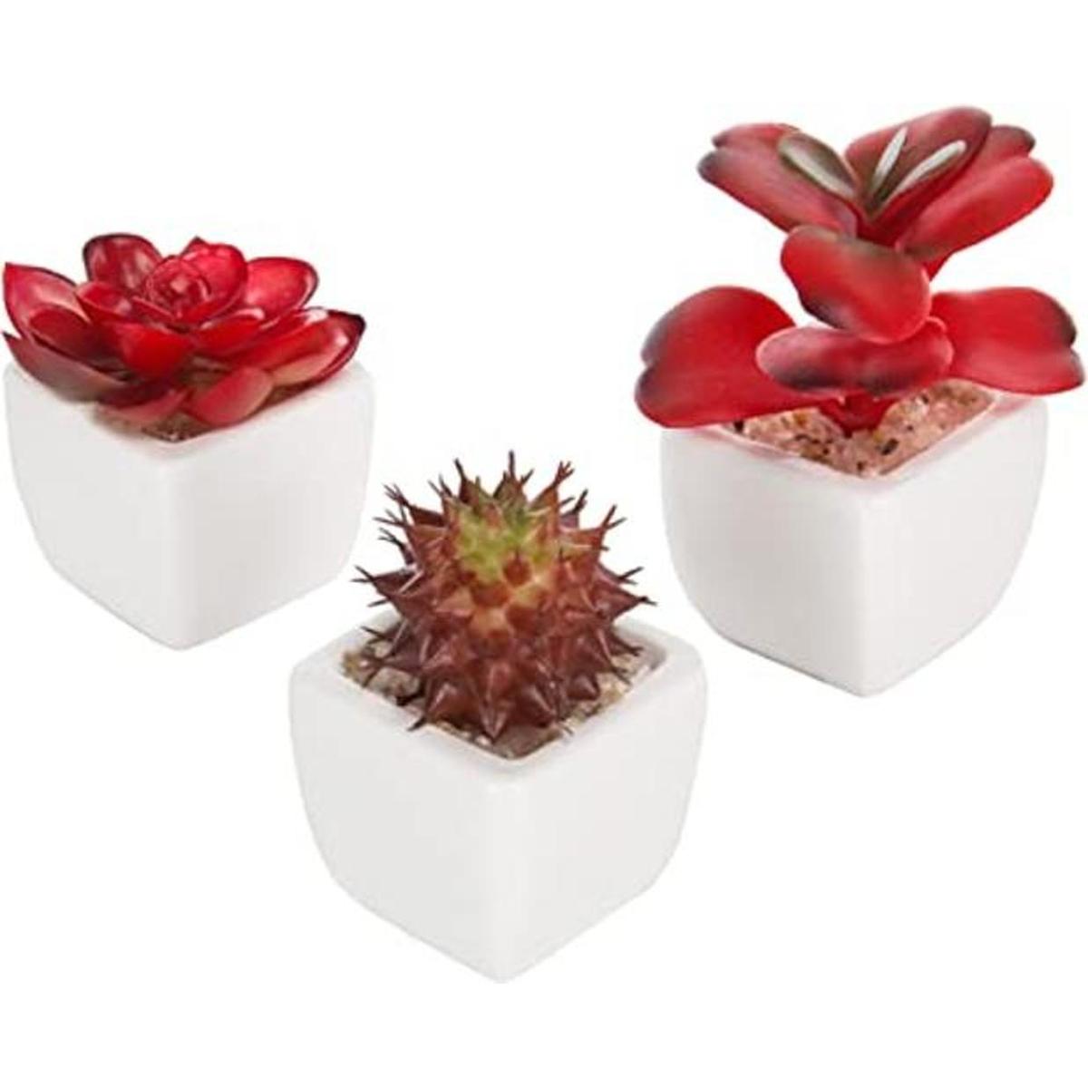 MyGift Surtido de plantas suculentas rojas artificiales