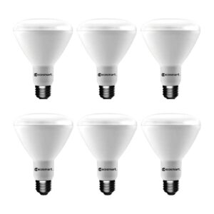 EcoSmart 65 W 65 W de repuesto 10.5 W LED BR30_1