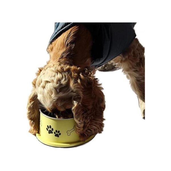 PETish Cuenco Spaniel para perro de oreja larga Cuencos_2