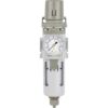 PneumaticPlus SAW300N03BG Regulador de filtro de aire_2