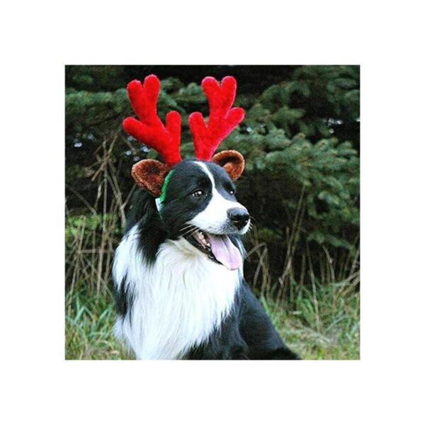 Cuernos de reno de Navidad con orejas para grandes perros