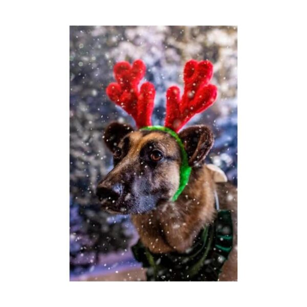 Cuernos de reno de Navidad con orejas para grandes perros