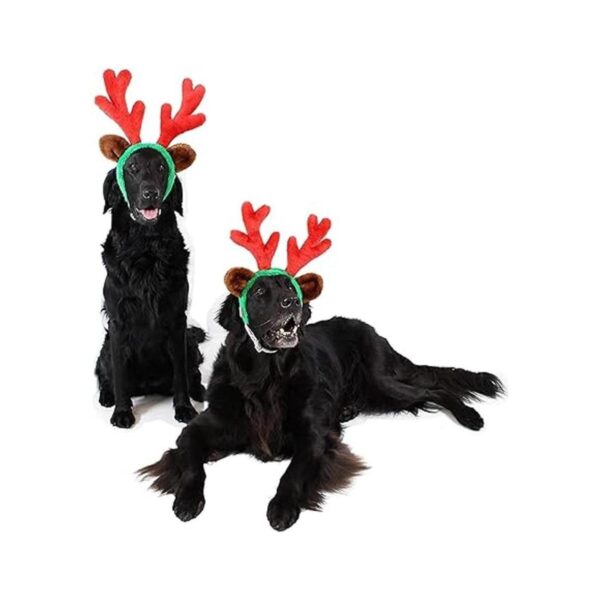 Cuernos de reno de Navidad con orejas para grandes perros