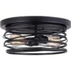 Canarm IFM411B14BK LTD Ryland Lámpara de techo 2 luces_1