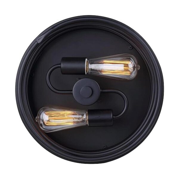 Canarm IFM411B14BK LTD Ryland Lámpara de techo 2 luces_4