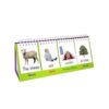 Junior Learning Sentence Flips soporte abatible de doble_3