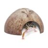 Niteangel Paquete de 2 escondites de reptil de coco
