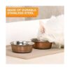 Neater Pet Brands Tazones decorativos de diseñador_2