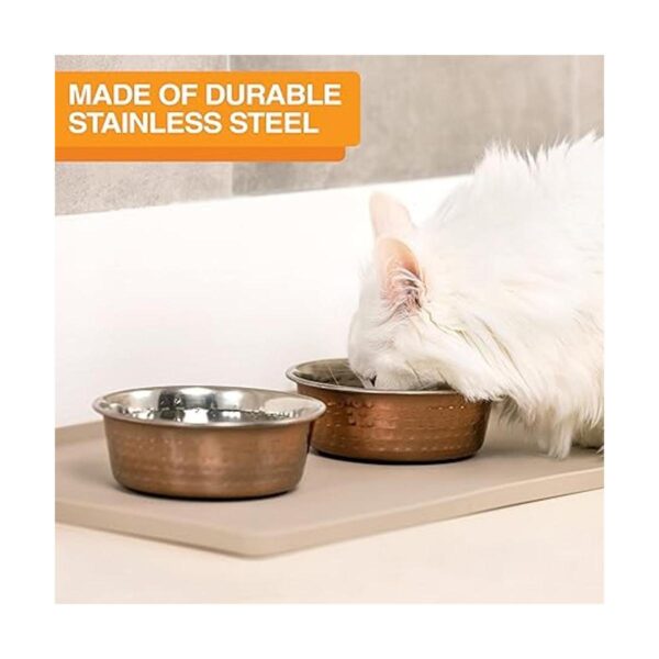 Neater Pet Brands Tazones decorativos de diseñador_2