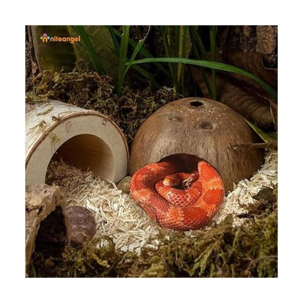 Niteangel Paquete de 2 escondites de reptil de coco