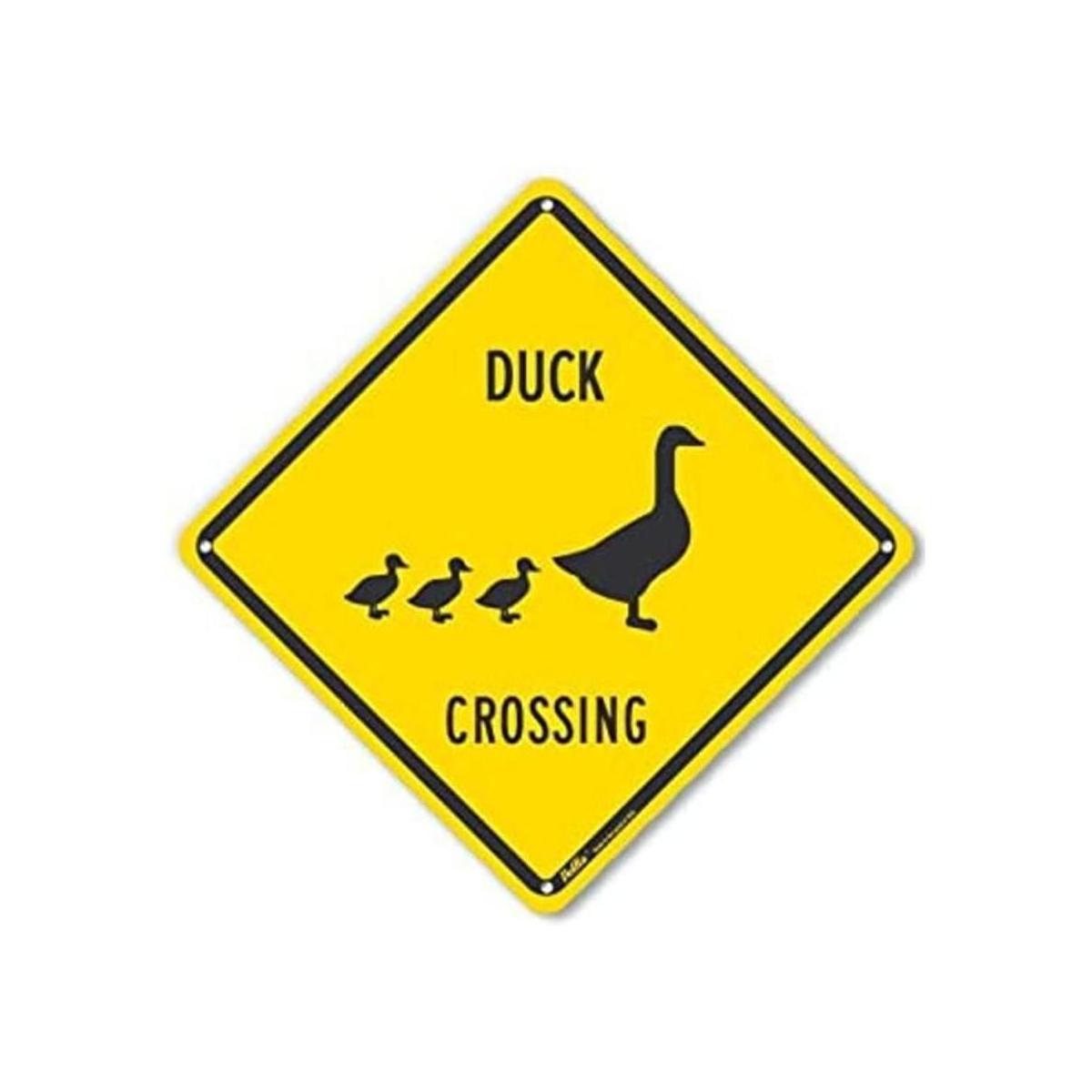 PetKa Signs and Graphics PKAC0172NA10 x 10 pulgadas Duck