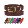 BronzeDog Collar de cuero para perro con hebilla duradera