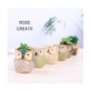 ROSE CREATE pequeñas macetas de 2.5 6.35 cm en forma