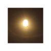 GutReise 10 bombillas LED de 3 V con rosca E10 10 bases_3