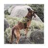 Chaleco táctico para perro con asa arnés militar para_6