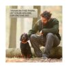 PetSpy Collar de choque Premium para entrenamiento de_6