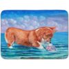 Carolines Treasures 7407RUG Corgi Sea Shell Find_1
