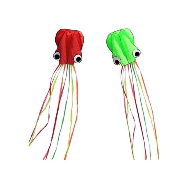 Hengda kite Pack 2 Colors Beautiful Large Easy Flyer Kite_1