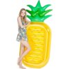 Jasonwell Giant Cactus Pineapple Pool Party Float Raft_1