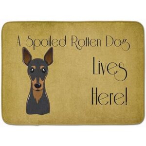 Carolines Treasures BB1488RUG Min Pin Spoiled Dog Lives_1