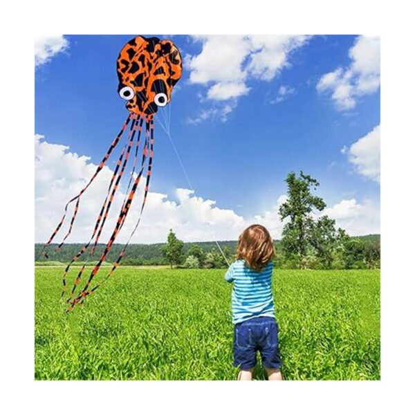 Hengda kite Pack 3 Colors Beautiful Large Easy Flyer Kite_4