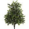 Nearly Natural 6112S2 Bush juego f 2_1