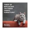 Cortaúñas para mascotas para animales pequeños el mejor_6