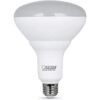 Feit Electric BR40 LED con una bombilla de base E26 media_1