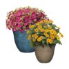 Macetero de madreselva para jardín o patio_5